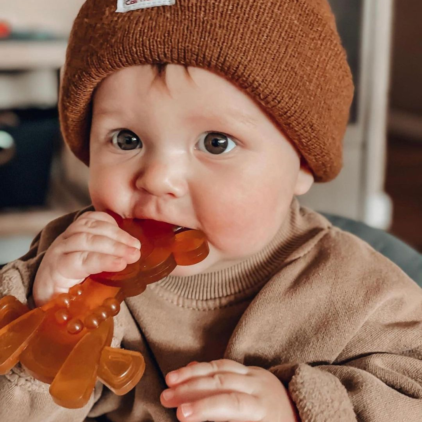 The Little Bamber: The Natural Rubber & Baltic Amber Teether