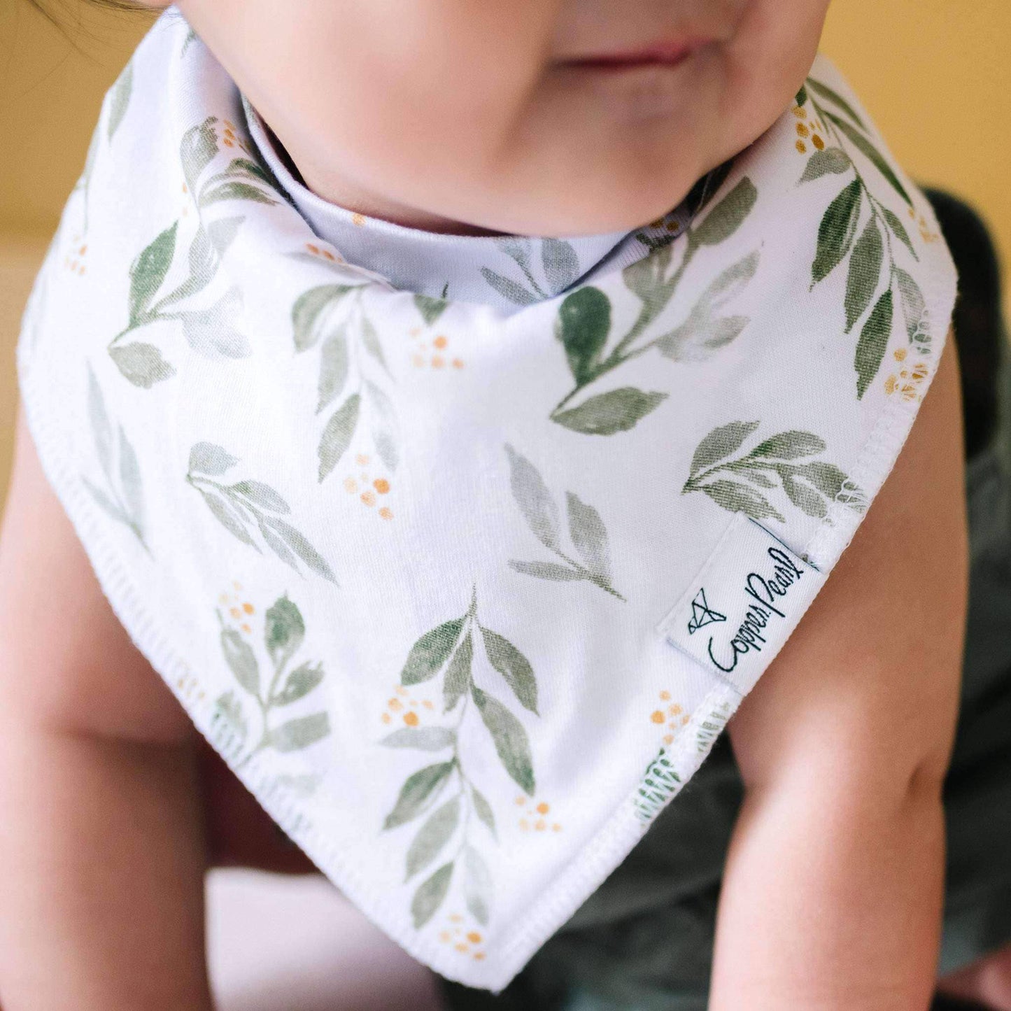 4 Pack Baby Bandana Bibs - Hope