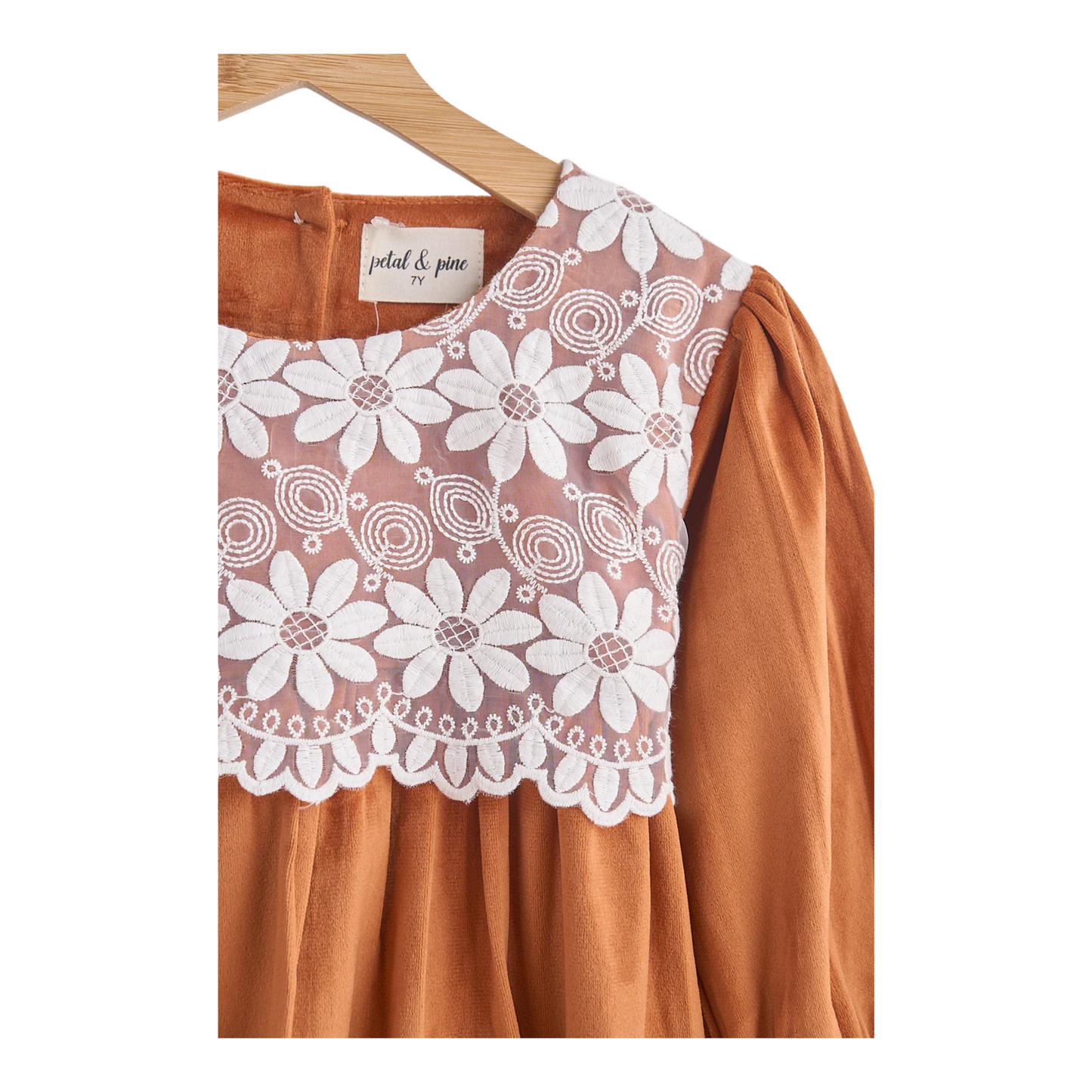 Carmel Velvet Lace Dress