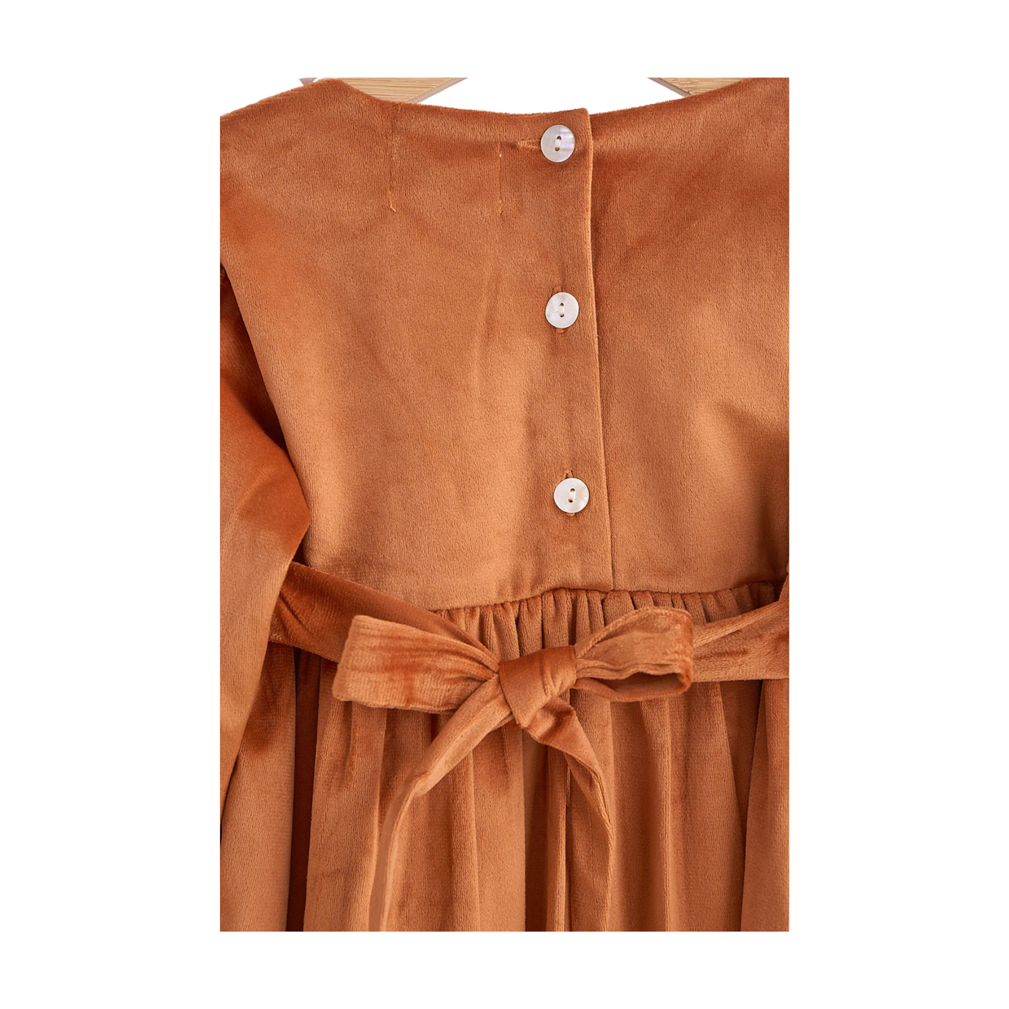 Carmel Velvet Lace Dress