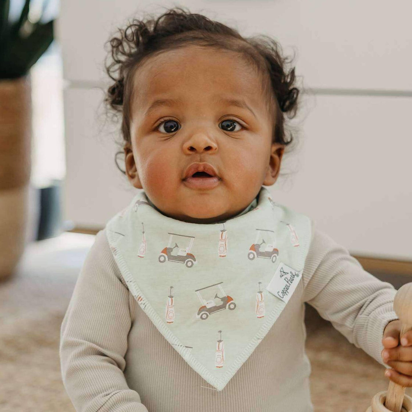 4 Pack Baby Bandana Bibs - Bogey