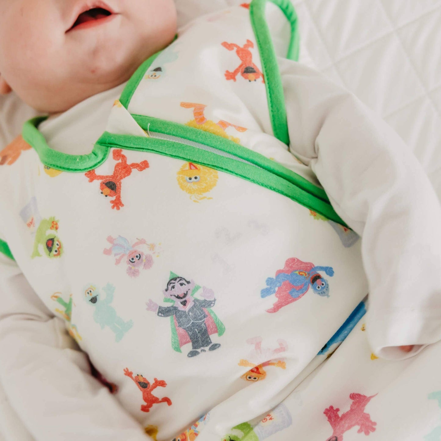 Sleep Bag - Sesame Friends