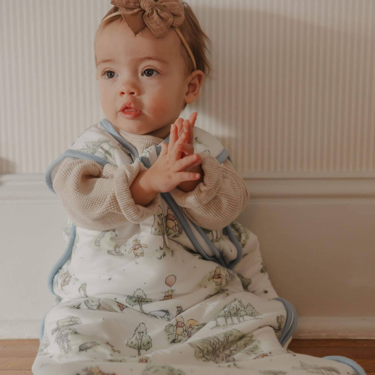Sleep Bag - Hundred Acre Wood: 0-6 Months / 2.5 TOG
