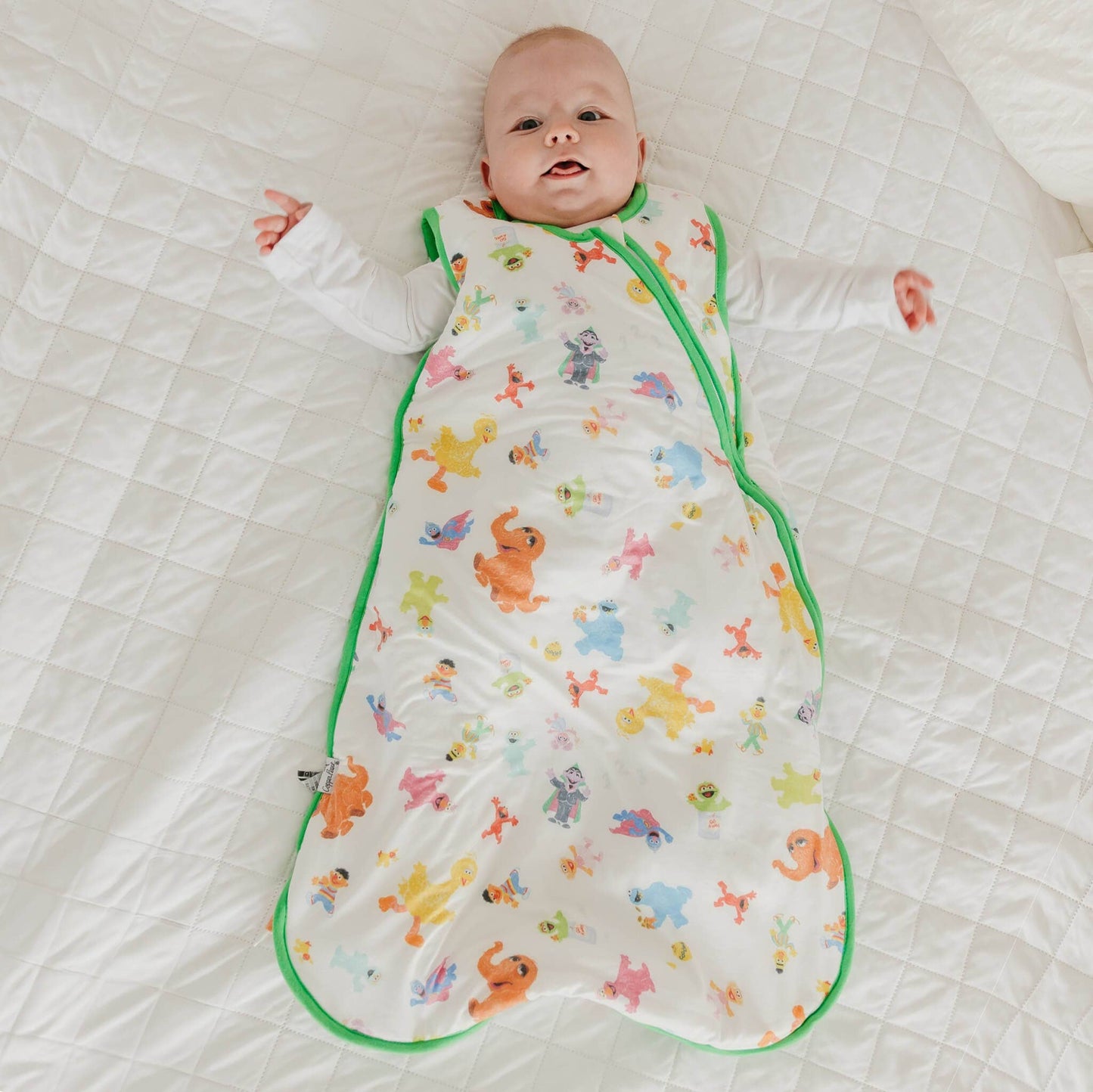 Sleep Bag - Sesame Friends