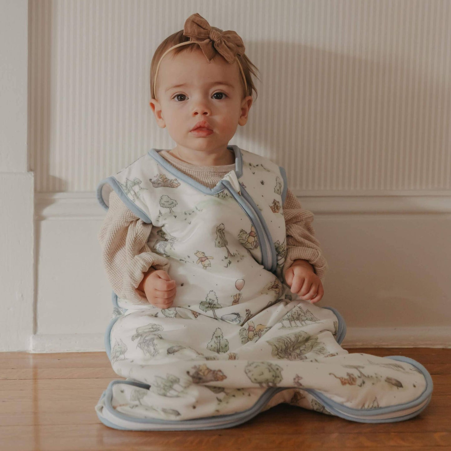 Sleep Bag - Hundred Acre Wood: 0-6 Months / 2.5 TOG