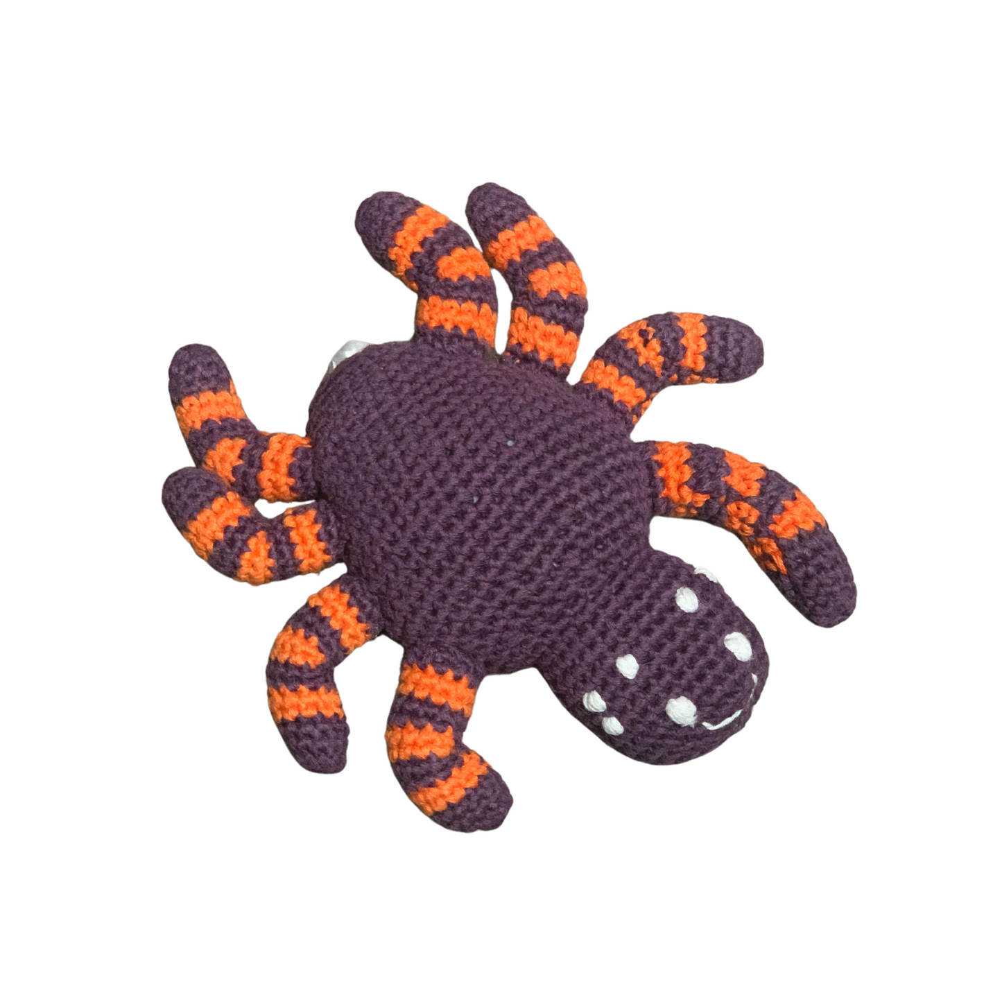 Spooky Little Spider Rattle