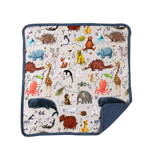 ABC's Mini Bamboo Blanket